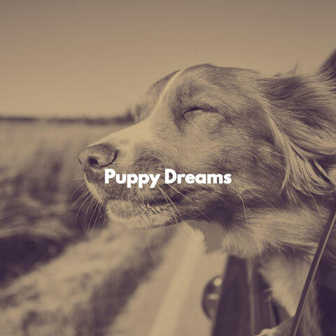 Puppy Dreams