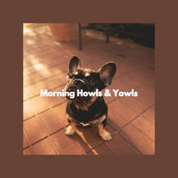 Scintillating Waltz - Vibe for Babies and Doggies Playing