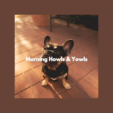 Morning Howls & Yowls