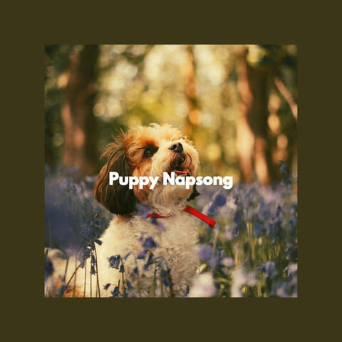 Puppy Napsong