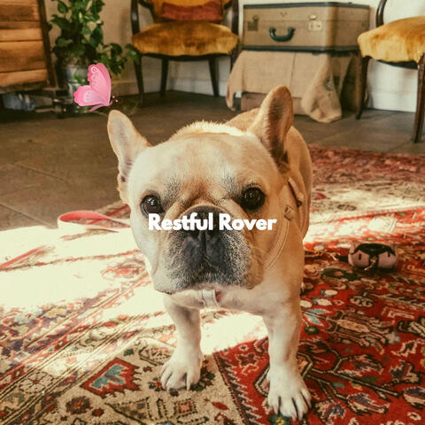 Restful Rover