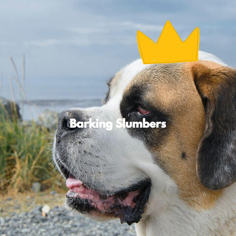 Barking Slumbers
