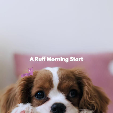 A Ruff Morning Start