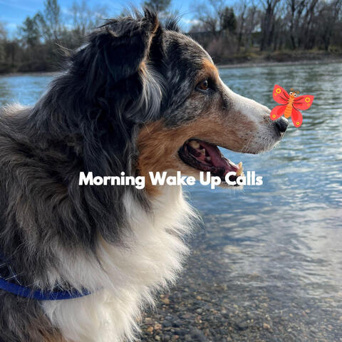 Morning Wake Up Calls