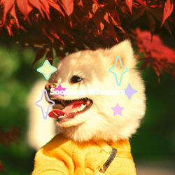Easy Moods for Babies and Doggies Playing