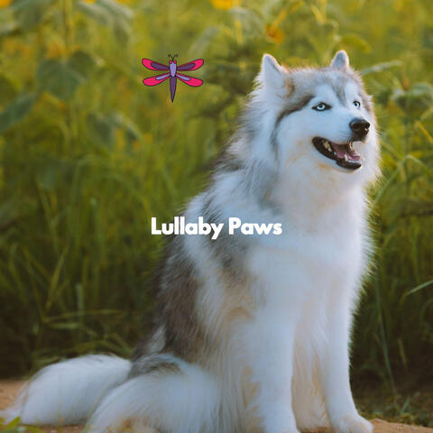 Lullaby Paws