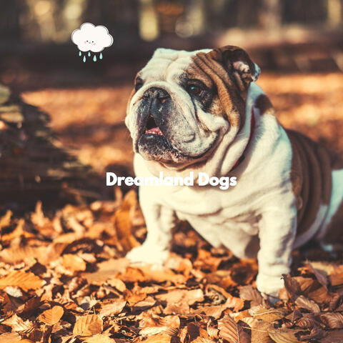 Dreamland Dogs