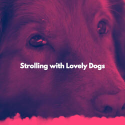 Mellow Ambience for Doggies in December