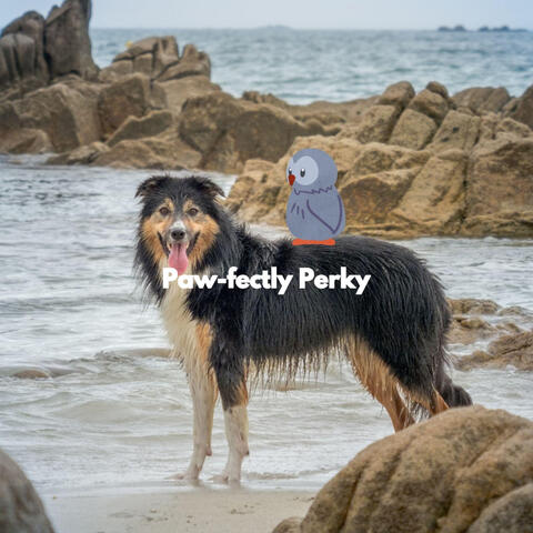 Paw-fectly Perky
