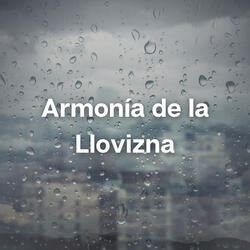 Silencio En La Suave Lluvia