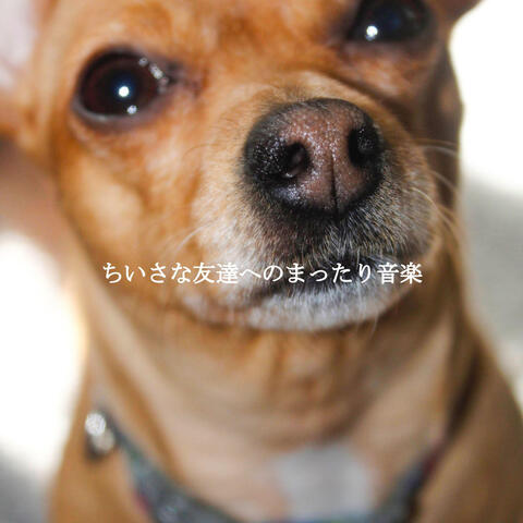 ちいさな友達へのまったり音楽