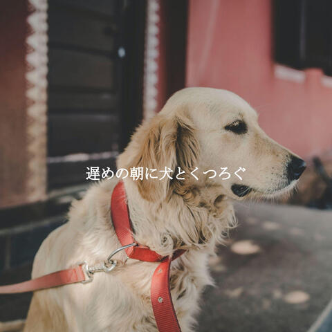 遅めの朝に犬とくつろぐ