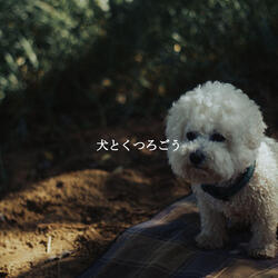 Peaceful Moods for Romantic Jazz Nights