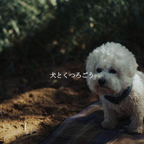 犬とくつろごう