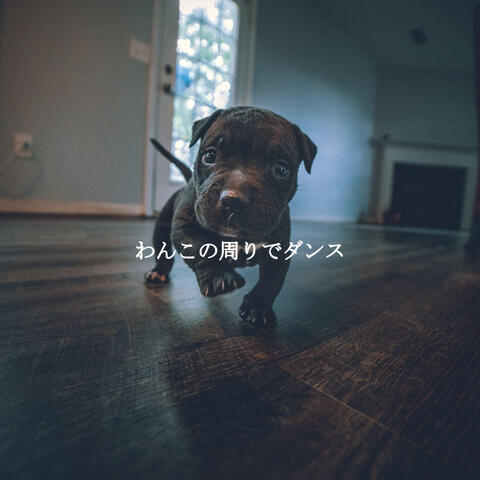 わんこの周りでダンス