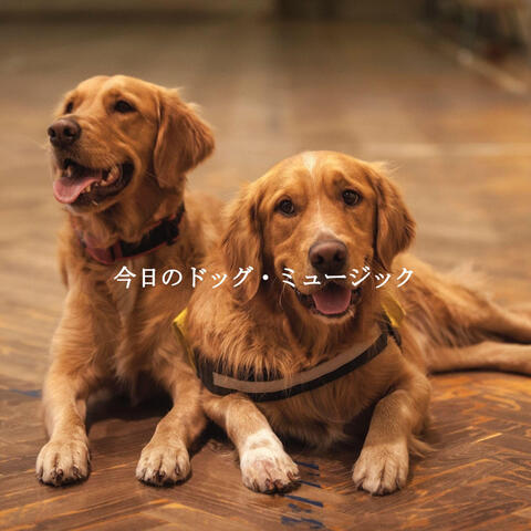 今日のドッグ・ミュージック