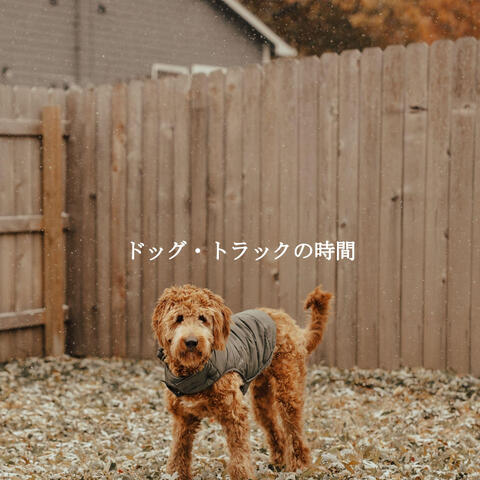 ドッグ・トラックの時間
