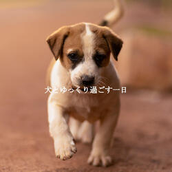 Cheerful Fantastic February