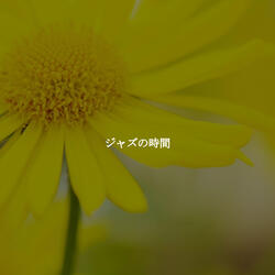 Cultivated Waltz - Vibe for Coffee with Work