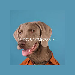 Astonishing Moods for Perfect Love