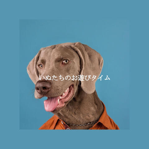 いぬたちのお遊びタイム