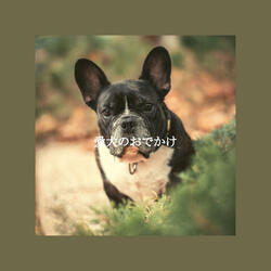 Outstanding Backdrops for Feel Good February