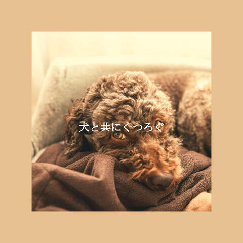 犬と共にくつろぐ