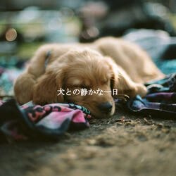 Warm Soulful Selections