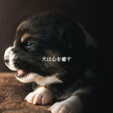 犬は心を癒す
