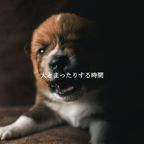 犬とまったりする時間