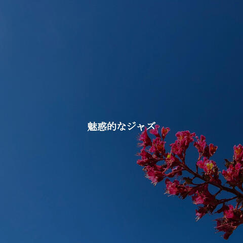 魅惑的なジャズ