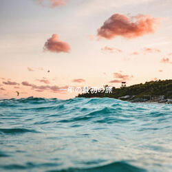 Dream Like Four Seasons