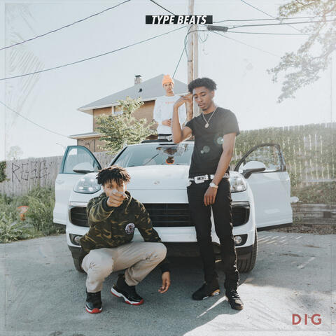 Dig