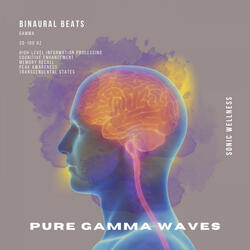 44 Hz Pure Gamma Waves [2 Minute Session]