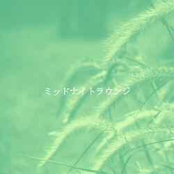 Modern Backdrops for Evening Quiet