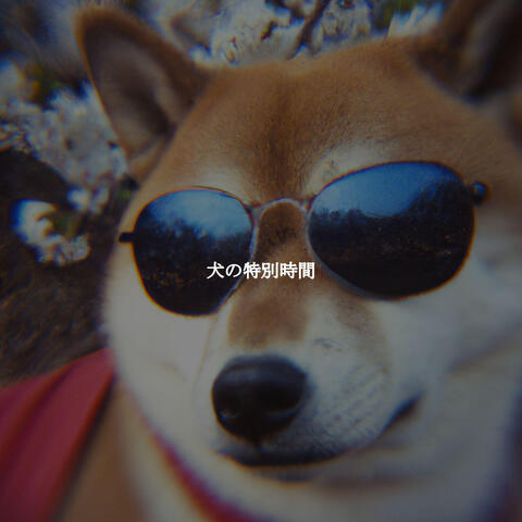 犬の特別時間