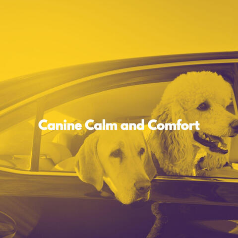 Canine Calm and Comfort