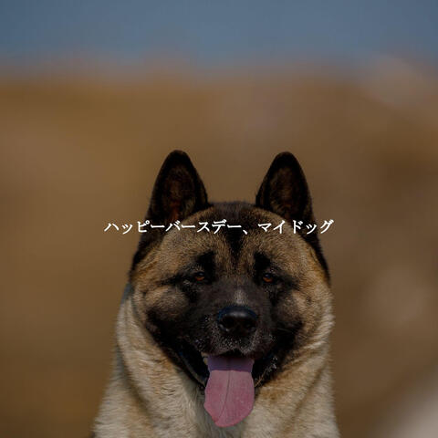 ハッピーバースデー、マイドッグ