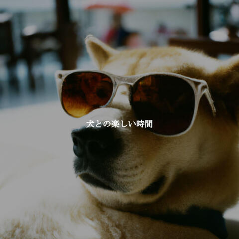 犬との楽しい時間