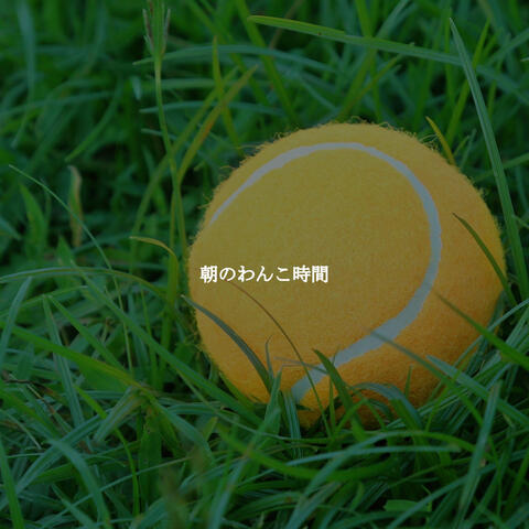 朝のわんこ時間