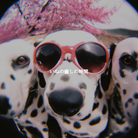 いぬの癒しの時間