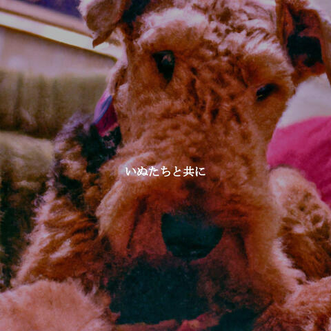 いぬたちと共に