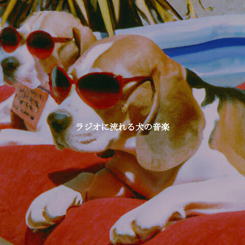 ラジオに流れる犬の音楽