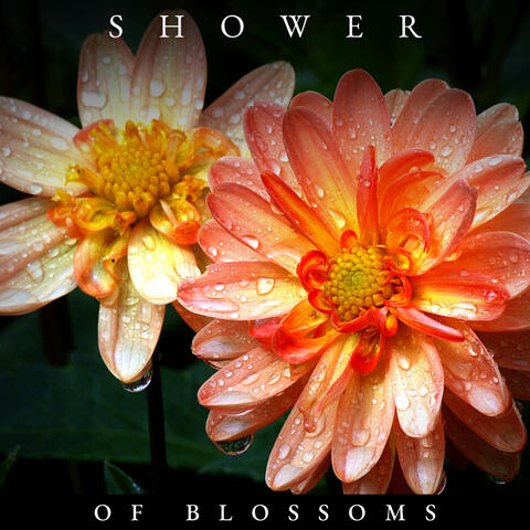 Shower of Blossoms