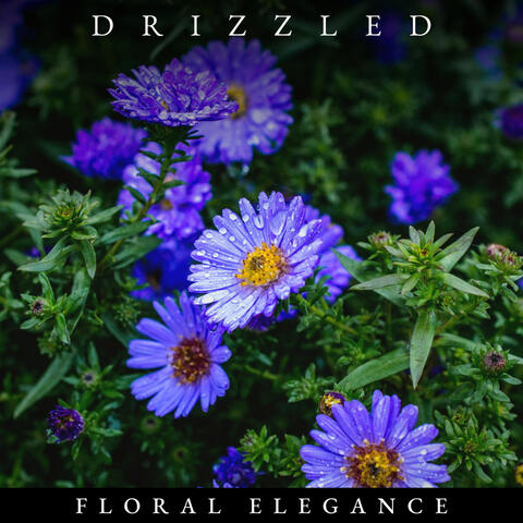 Drizzled Floral Elegance