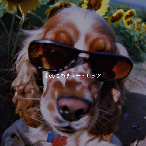 わんこのサマー・ヒッツ