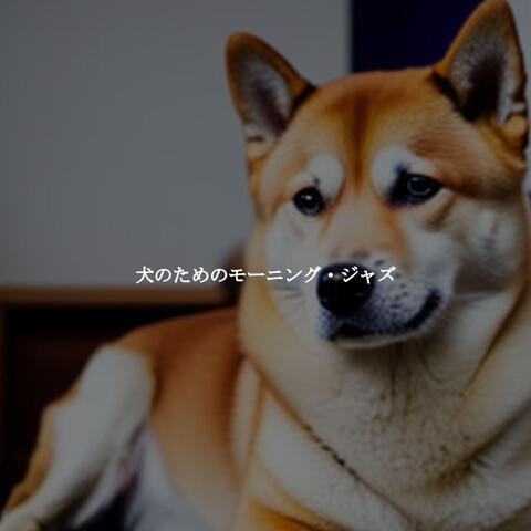 犬のためのモーニング・ジャズ