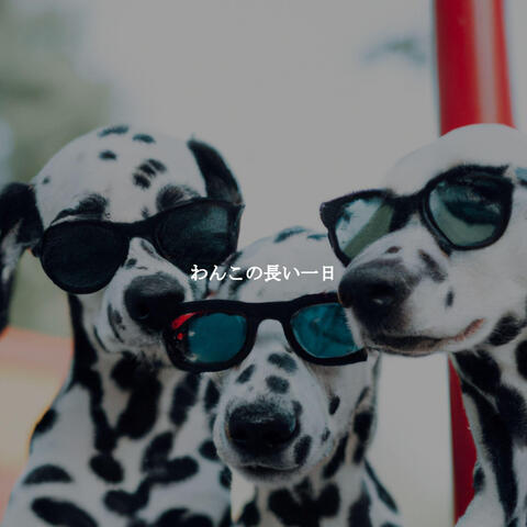 わんこの長い一日