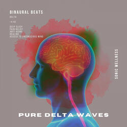 1 Hz Pure Delta Waves [15 Minute Session]