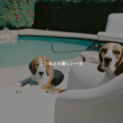 こいぬとの楽しい一日